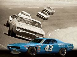 Image result for Richard Petty 71 Road Runner