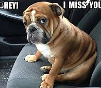 Image result for I Miss You Meme