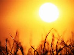 Image result for Sun Giving Energy