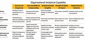 Image result for Capability Matrix Example