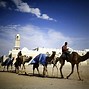 Image result for Camel Racing Dubai