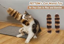 Image result for Cat Wand Toys