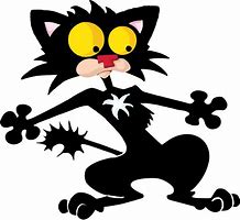 Image result for Bad Kitty Cat
