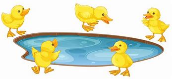 Image result for Row of Cartoon Ducks