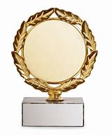 Image result for Gold Award Trophy Plate