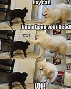 Image result for Funniest Memes 2016