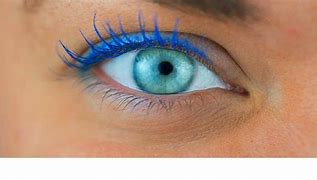 Image result for fragrance free conditioning mascara