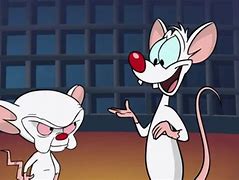 Image result for Pinky and the Brain Show