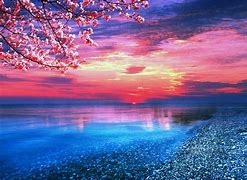 Image result for Swimming in the Ocean Wallpaper