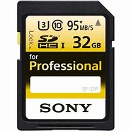 Image result for Sony SDHC Memory Card