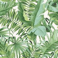 Image result for Sharp Wallpaers Green