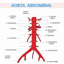 Image result for aoerta