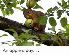 Image result for An Applea Day Meme