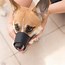 Image result for Muzzle for a Dog