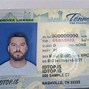 Image result for Fake IDs TN