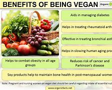 Image result for Effects of Vegetarian Diet