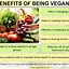 Image result for Vegan Diet Benefits