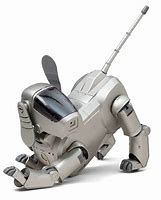 Image result for Aibo 110