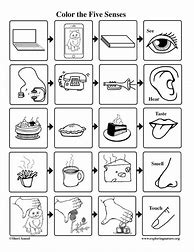 Image result for Five Senses Coloring Worksheet