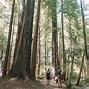 Image result for Big Basin State Park Map