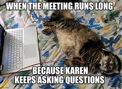 Image result for Cat Meeting Meme