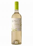 Image result for Lynfred Sauvignon Blanc Central Valley