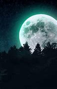 Image result for Dark Forest Moon Phone Wall Paper