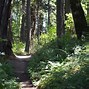 Image result for Mitchell Point Oregon