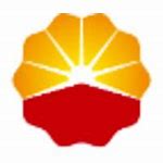 Image result for China National Petroleum Corporation Organization Chart