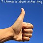 Image result for Things That Are 19 Inches