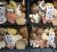 Image result for Wild Mushroom Packaging