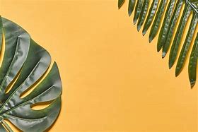 Image result for Palm Leaf Lock Screen
