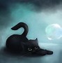 Image result for Galaxy Fur Cat