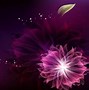 Image result for Light Flower Wallpaper