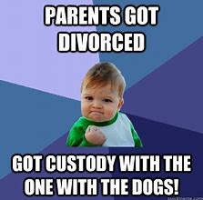 Image result for Divorce Meme Split Custody