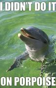 Image result for Dolphins Inherit Earth Humor