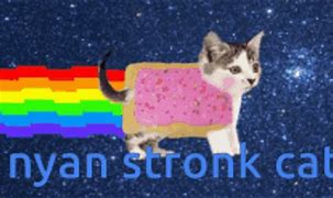 Image result for Beat It Cat Meme