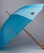 Image result for Lite Blue Coach Umbrella