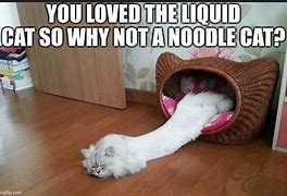 Image result for Liquid Cat Meme
