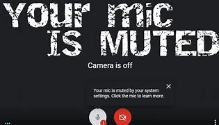 Image result for Mic Muted