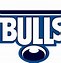 Image result for Bulls Bball