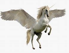 Image result for White Stallion Unicorn