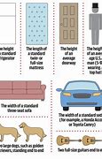 Image result for Things That Are 6Ft Long