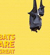 Image result for Bat Food