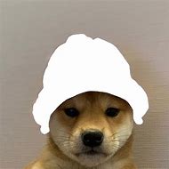 Image result for Beanie Dog Meme