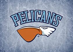 Image result for Klamath Union Pelicans Logo