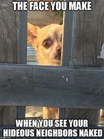 Image result for Scared Dog Meme