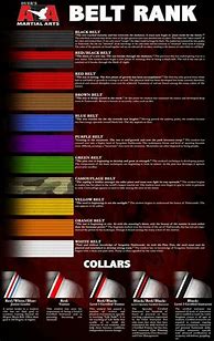 Image result for Martial Arts Belt Ranking Colors