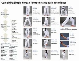 Image result for Taekwondo Skills