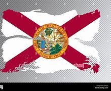 Image result for High Quality Image of the Florida State Flag
